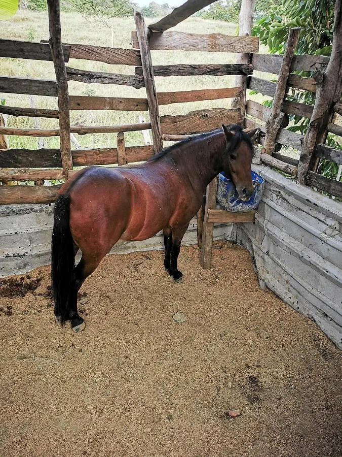 Ponylandia Campestre Hotel Cartagena